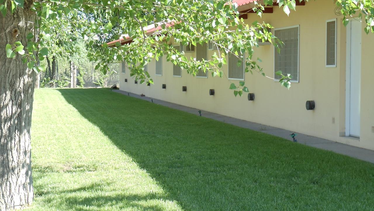 Hotel Quelu Leufu Рио-Колорадо Номер фото